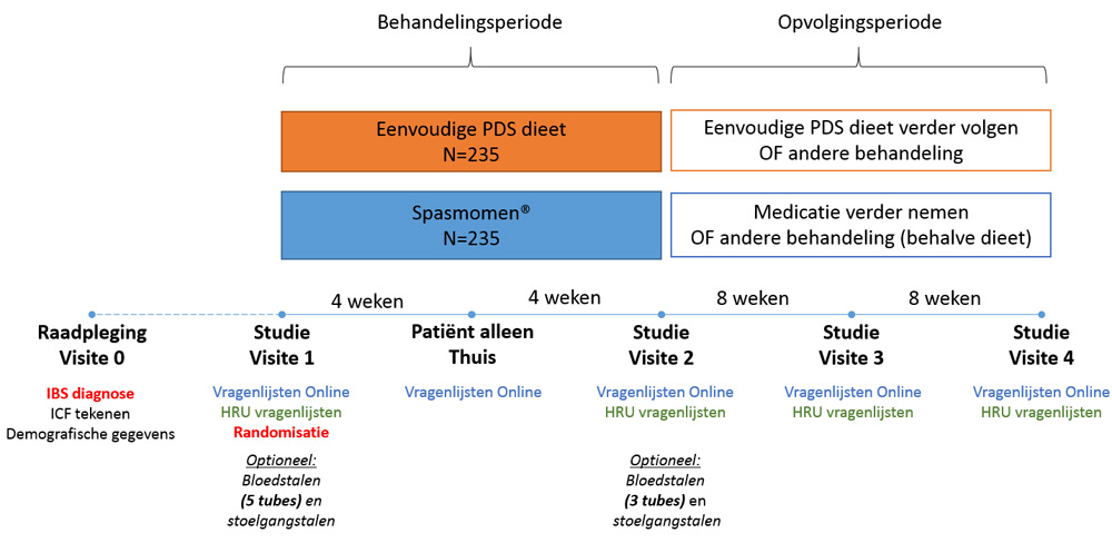Flowchart Dominostudie
