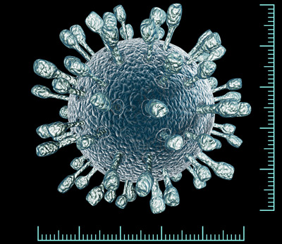 rotavirus gr